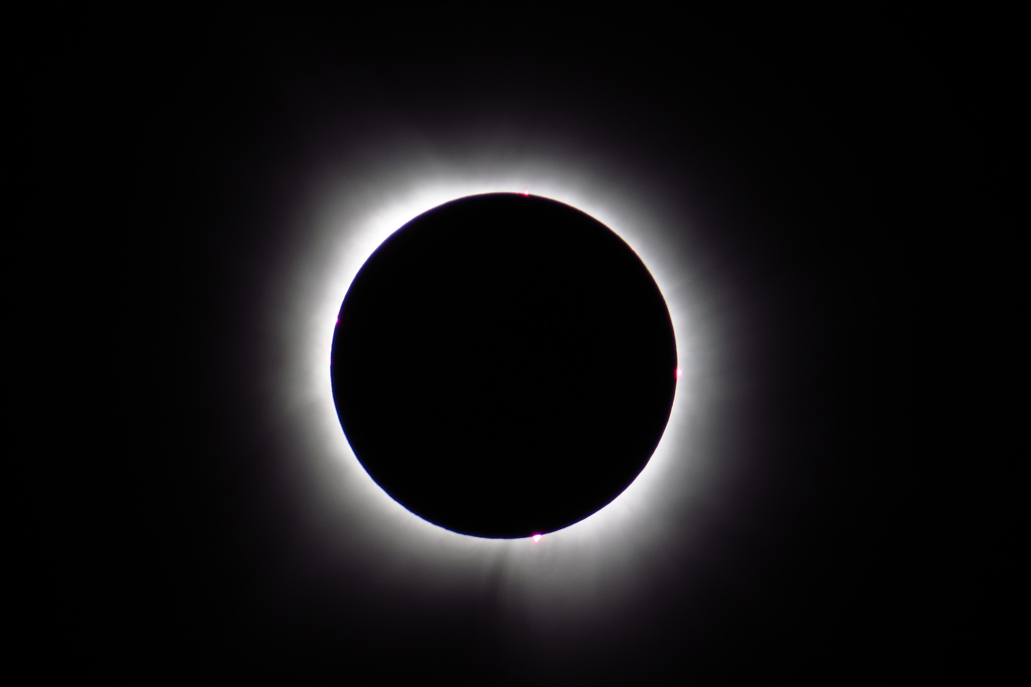 435055661_10224663223744988_5464252420236680374_n